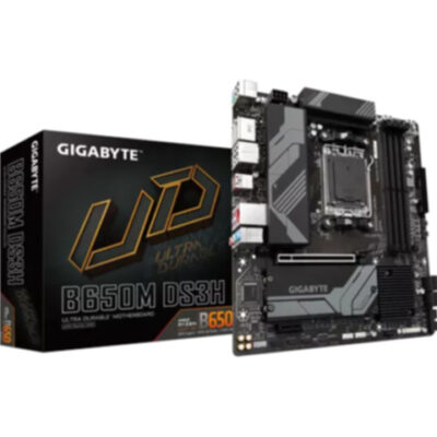 GIGABYTE B650M DS3H