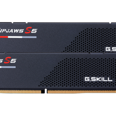G.Skill Ripjaws S5 32Go (2x16Go) DDR5-6000 CL36 Noir